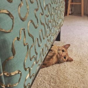 Meet your Posher, April